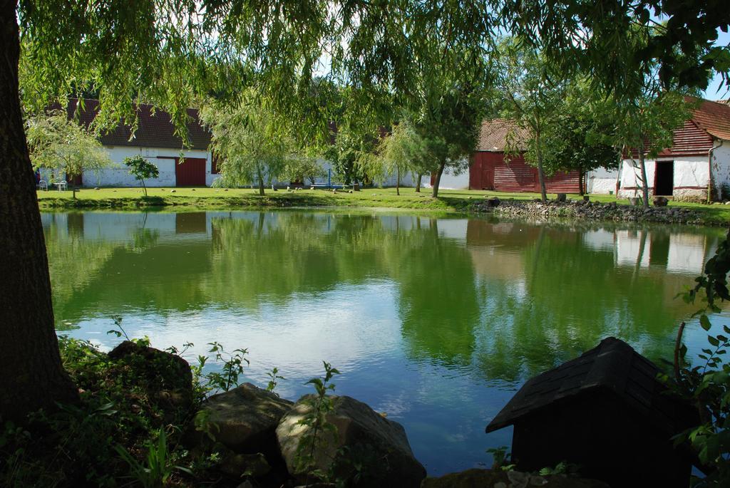 Domaine De Collen Bed & Breakfast Lépine Dış mekan fotoğraf